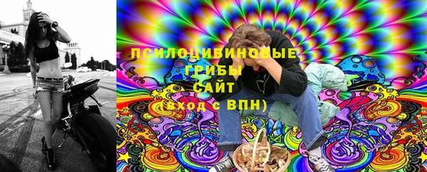 альфа пвп Пролетарск