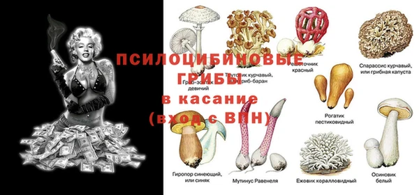 мескалин Протвино